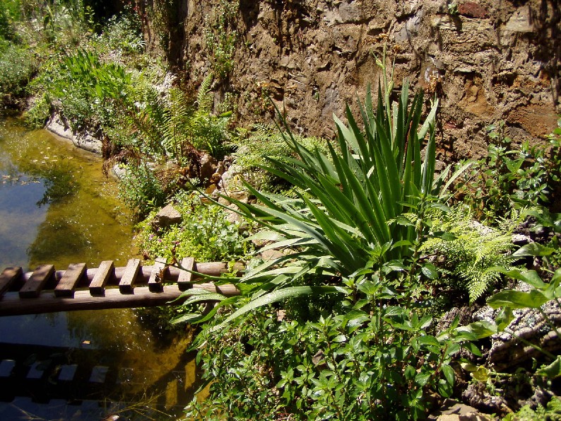 Il Laghetto del Centro di Entomologia - Piombino (LI)